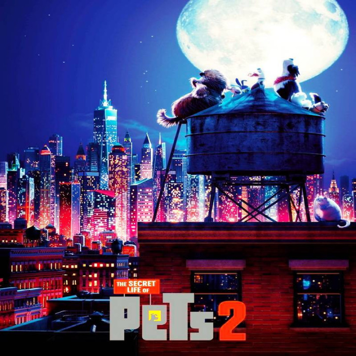 اسرار حیوانات خانگی The Secret Life of Pets 2
