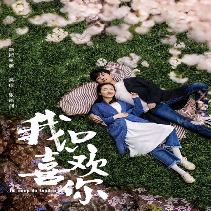 عشق در نگاه اول Le Coup de Foudre