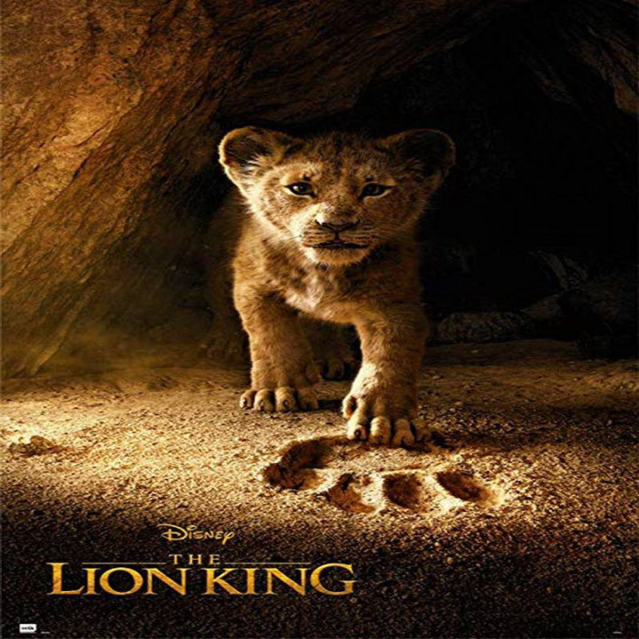 شیر شاه 2019 The Lion King