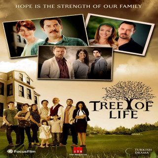 درخت زندگی