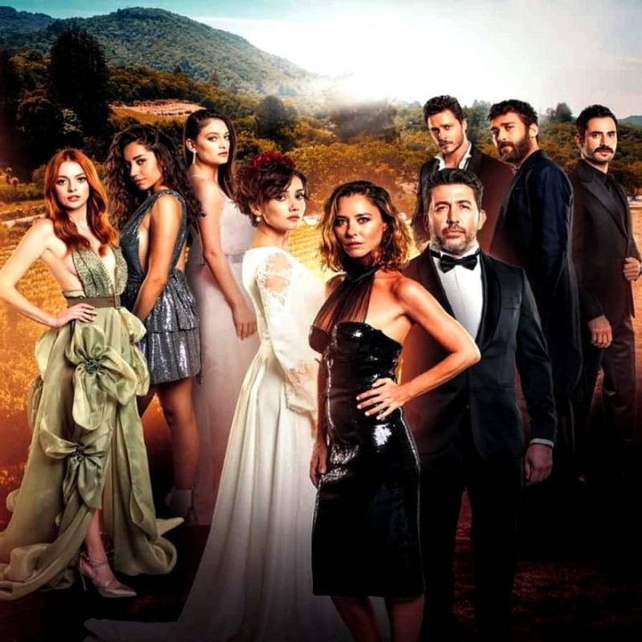 گذشته عزیز Sevgili Geçmiş