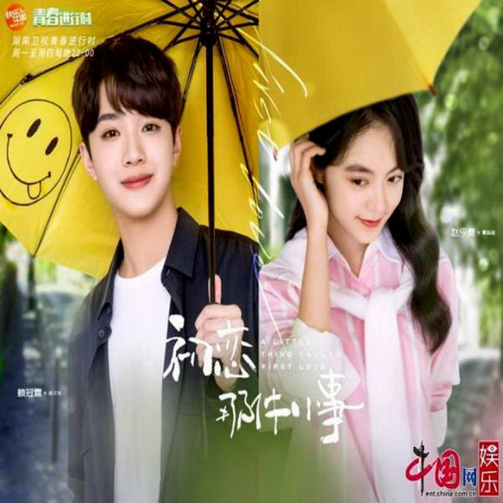 یک چیز کوچک به نام عشق اول A Little Thing Called First Love