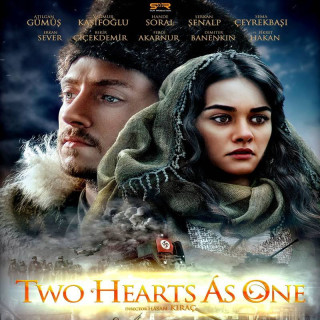 قلب های واحد Birlesen Gonuller