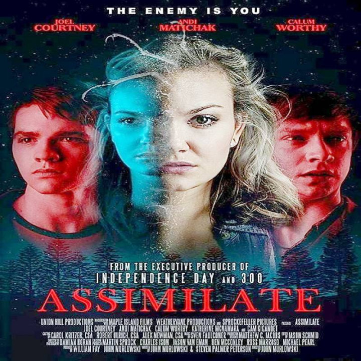 شبیه سازی Assimilate