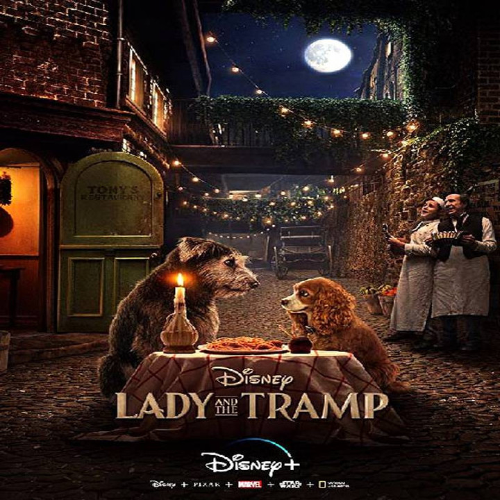 بانو و ترامپ 2019