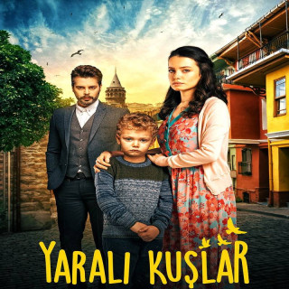 پرندگان زخمی Yaralı Kuşlar