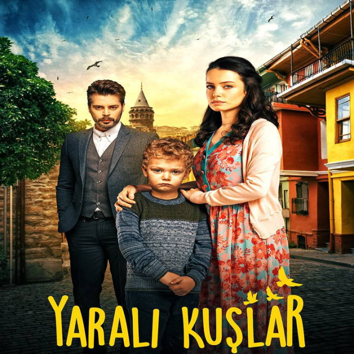 پرندگان زخمی Yaralı Kuşlar
