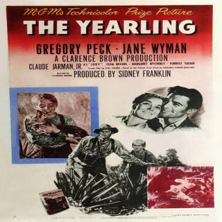 گوزن یک ساله The Yearling