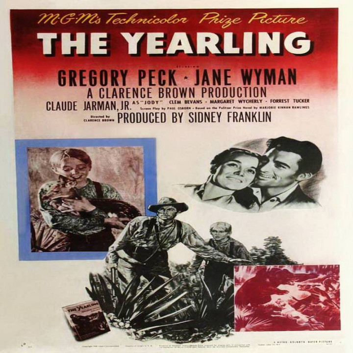 گوزن یک ساله The Yearling