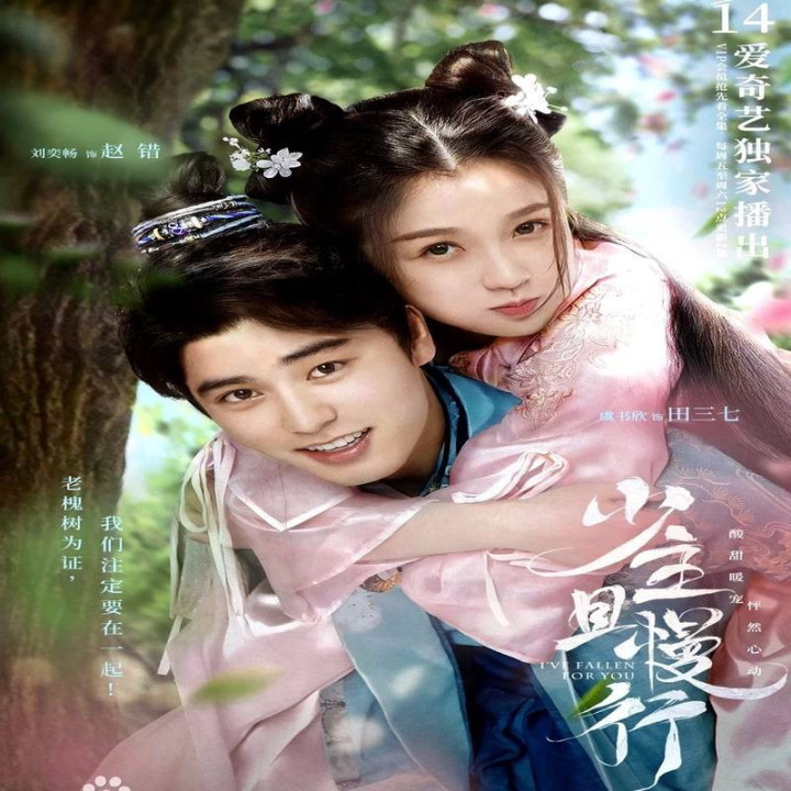 عاشقت شدم I have Fallen For You