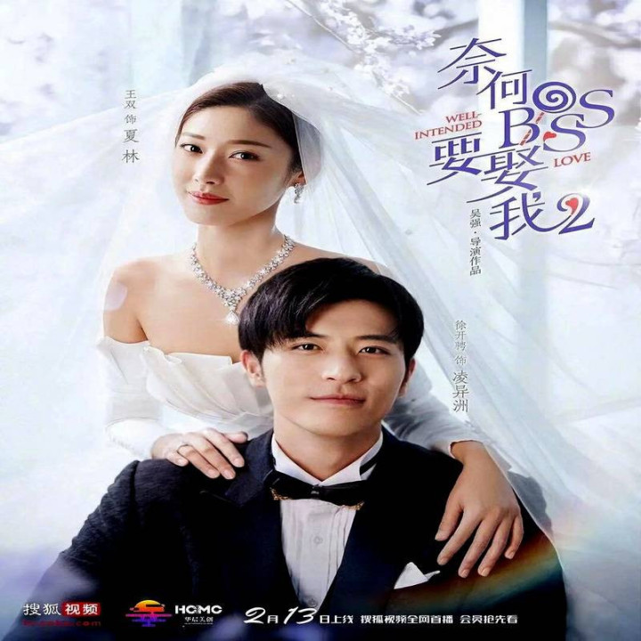 کدام رئیس میخواد با من ازدواج کنه 2  Well Intended Love 2