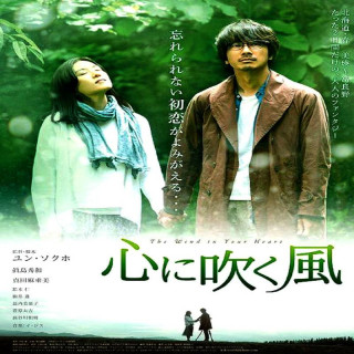 باد در قلب تو The Wind in Your Heart