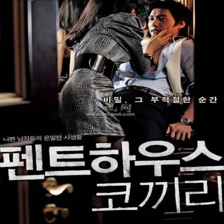 جستجو برای فیل Searching for the Elephant