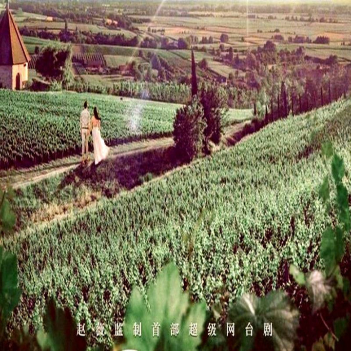 همه میخواهند تو را ملاقات کنند Everyone Wants To Meet You