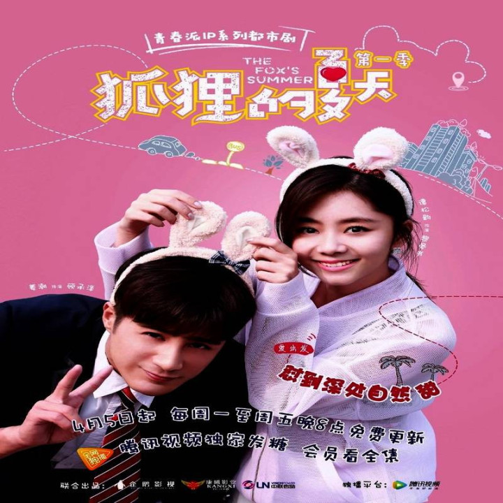 تابستان روباه The Foxs Summer