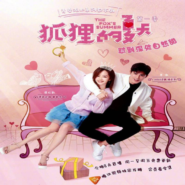 تابستان روباه The Foxs Summer