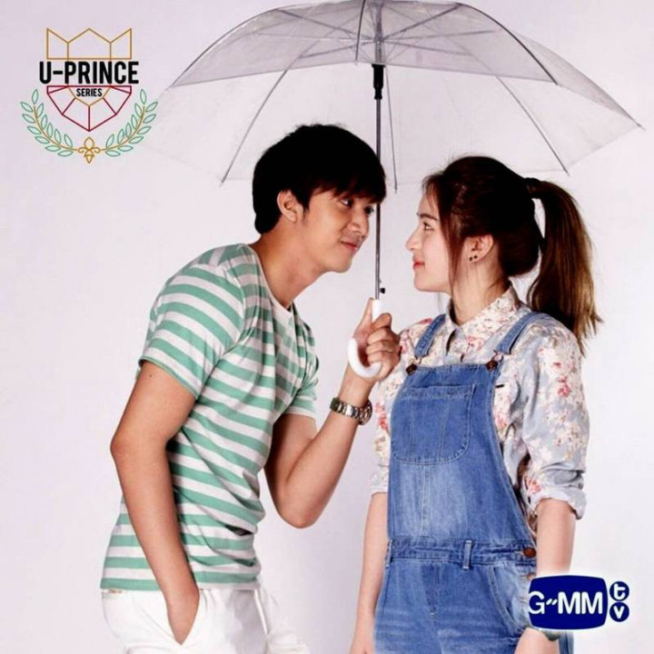 دامپزشک نجیب U-Prince: The Gentle Vet