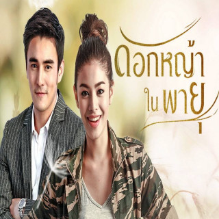 گل گندم در طوفان Grass Flower In The Storm