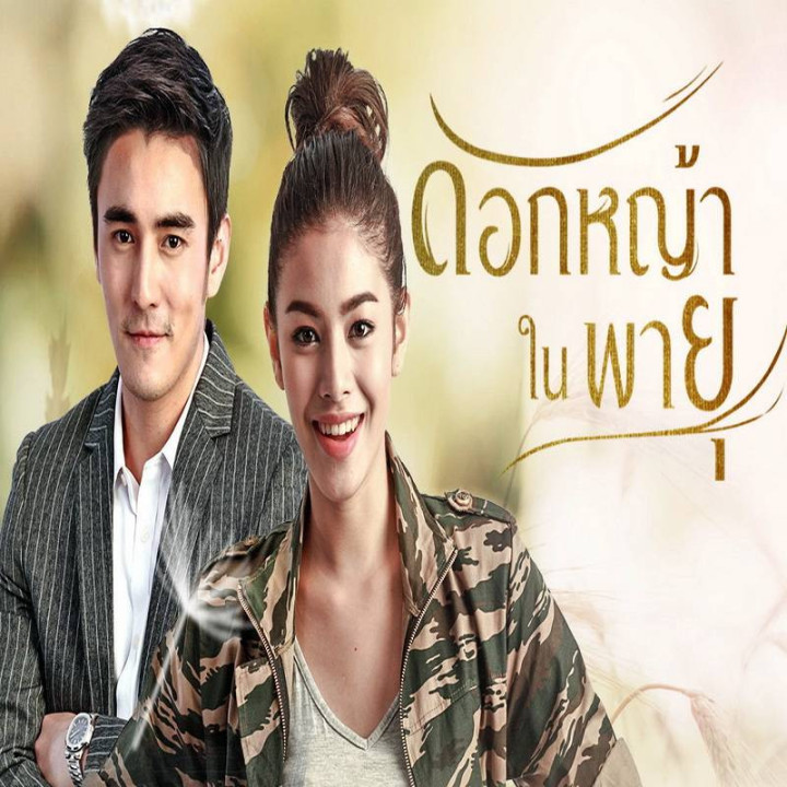 گل گندم در طوفان Grass Flower In The Storm