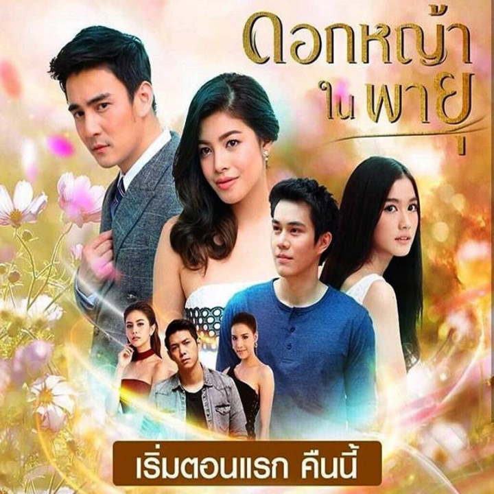 گل گندم در طوفان Grass Flower In The Storm