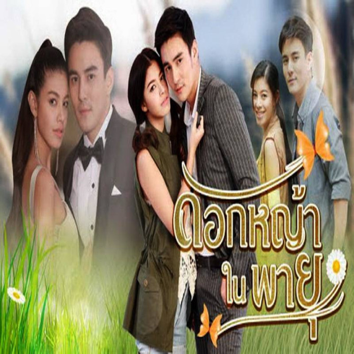 گل گندم در طوفان Grass Flower In The Storm