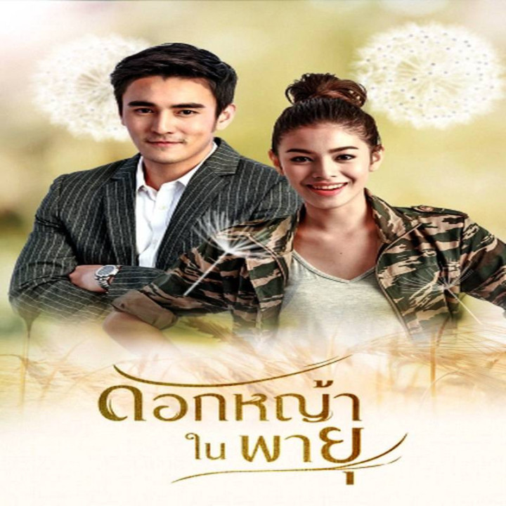 گل گندم در طوفان Grass Flower In The Storm