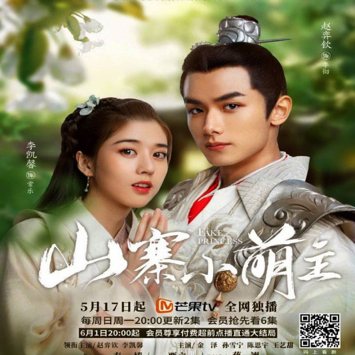 شاهزاده خانم قلابی Fake Princess