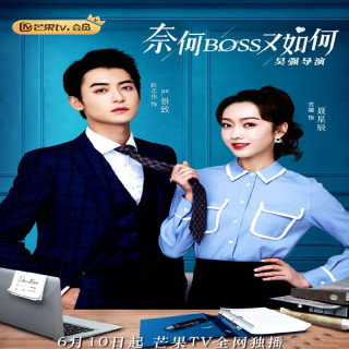 چی میشه رئیسم باشی What If You're My Boss - Well Dominated Love