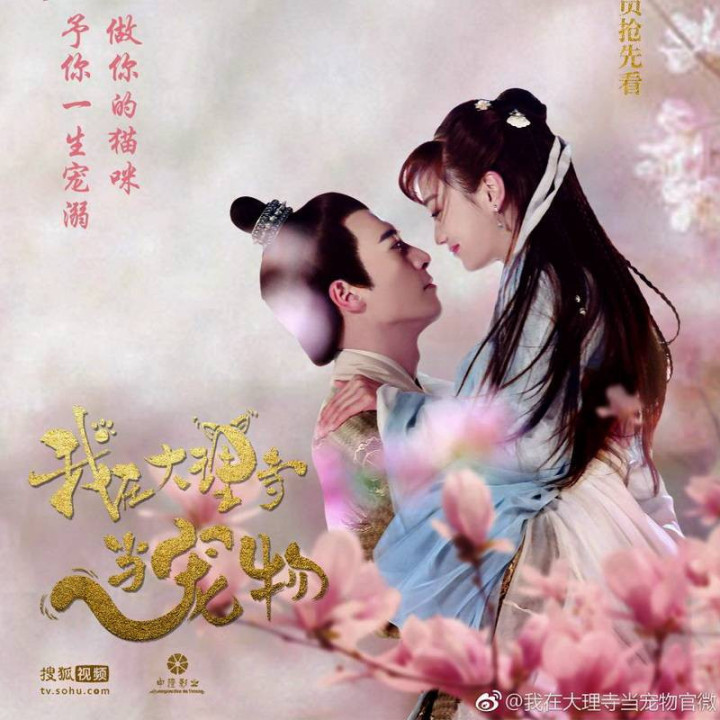 من حیوان خانگی معبد دالی هستم I'm a Pet At Dali Temple