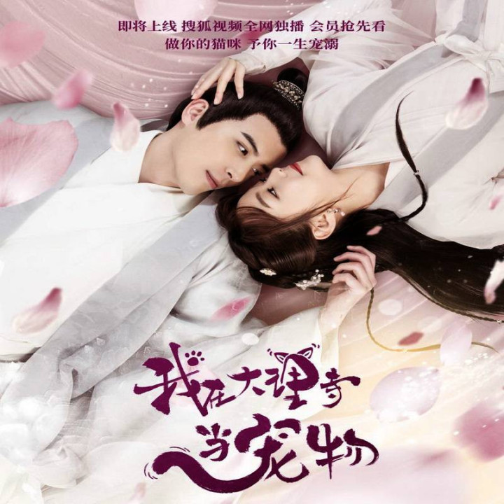 من حیوان خانگی معبد دالی هستم I'm a Pet At Dali Temple