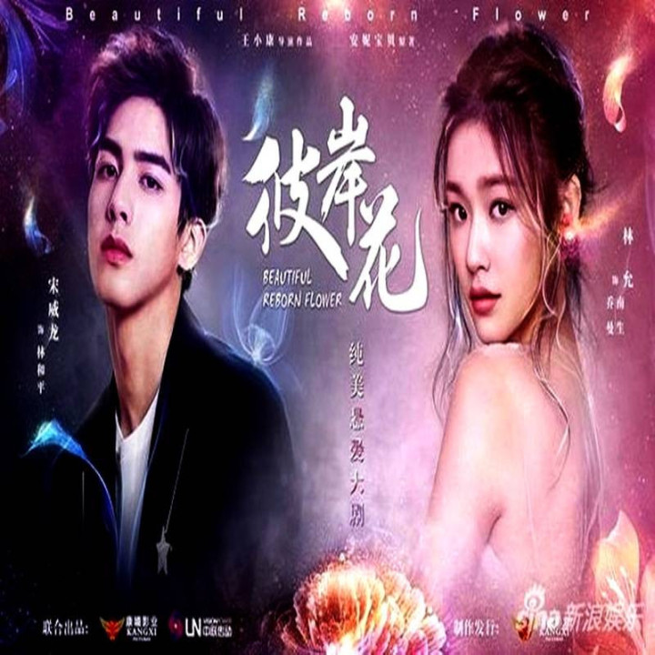 تولد دوباره گل زیبا Beautiful Reborn Flower