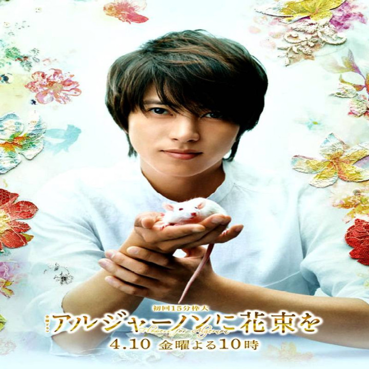 گل هایی برای آلجرنون Flowers for Algernon