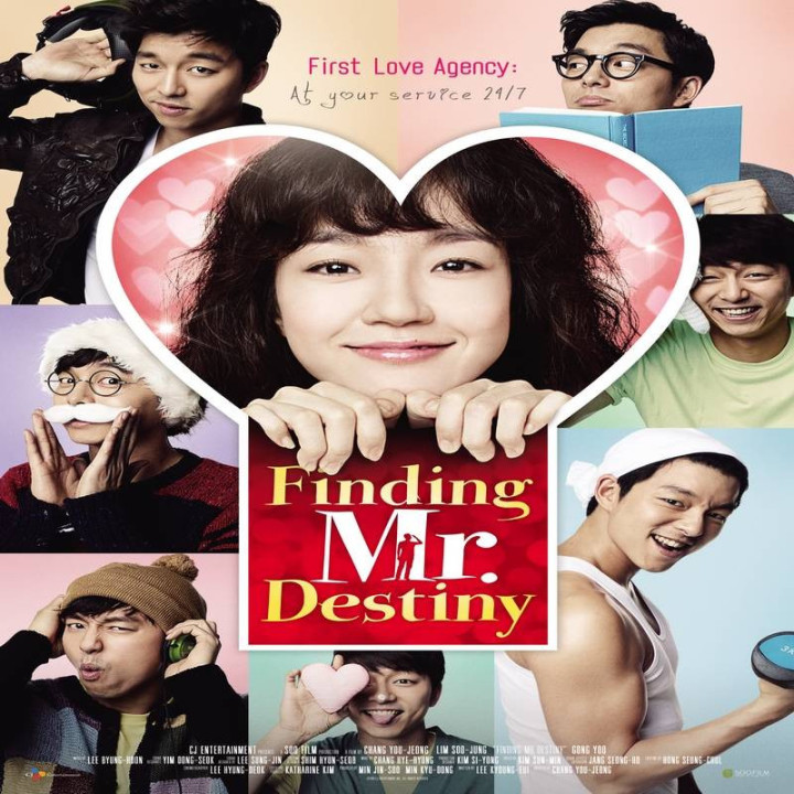 در جستجوی آقای سرنوشت Finding Mr. Destiny