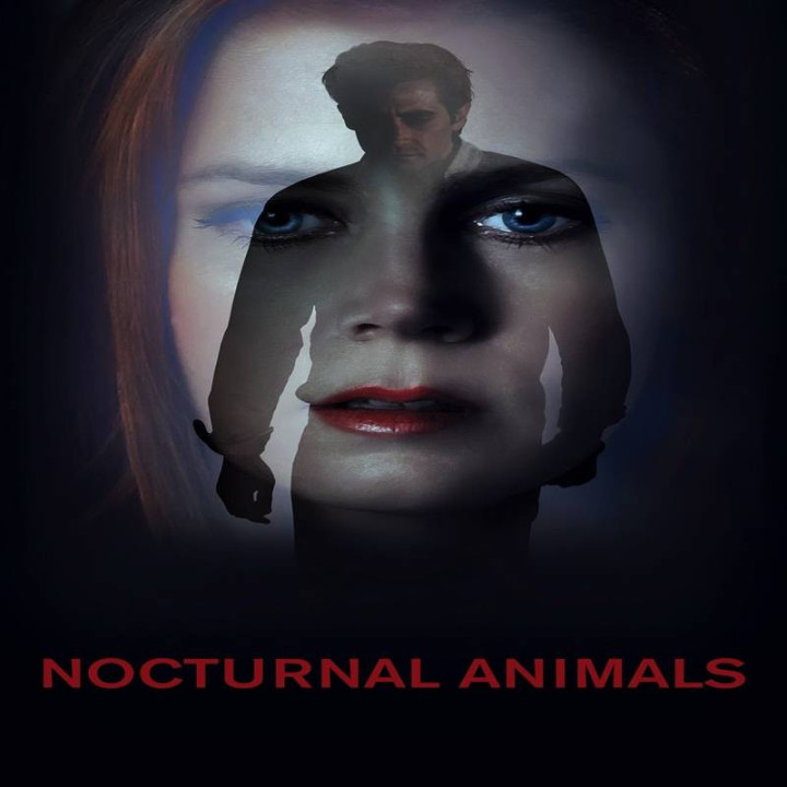 حیوانات شب زی Nocturnal Animals