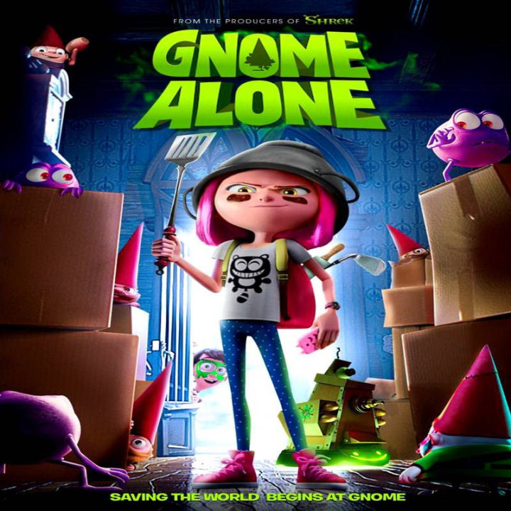 کوتوله تنها Gnome Alone