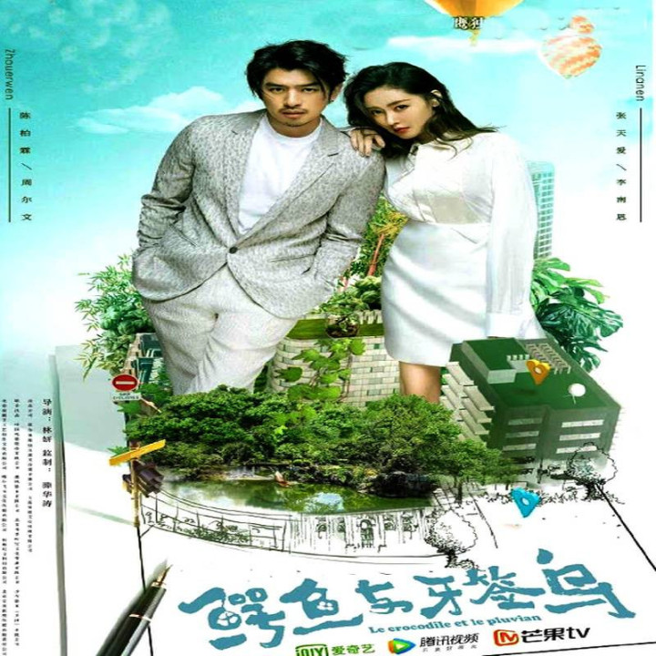 تمساح و پرنده باران Crocodile and Plover Bird