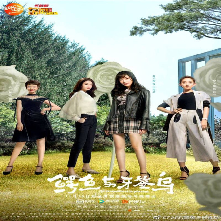 تمساح و پرنده باران Crocodile and Plover Bird