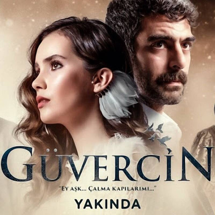 کبوتر Guvercin