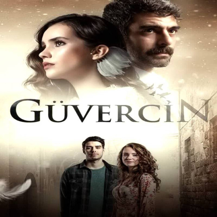 کبوتر Guvercin