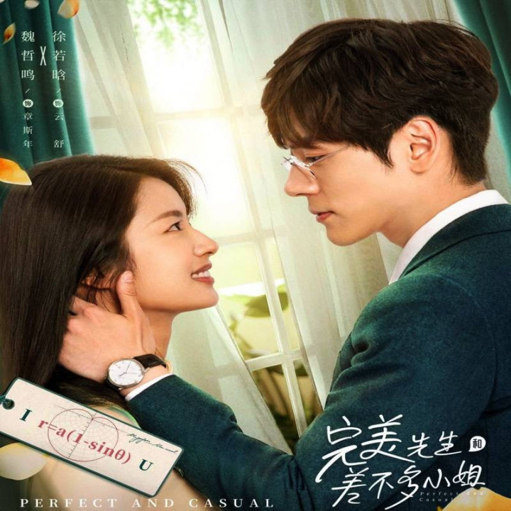 عالی و معمولی  Perfect and Casual