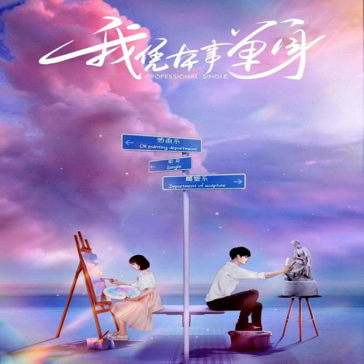 مجرد حرفه ای Professional Single