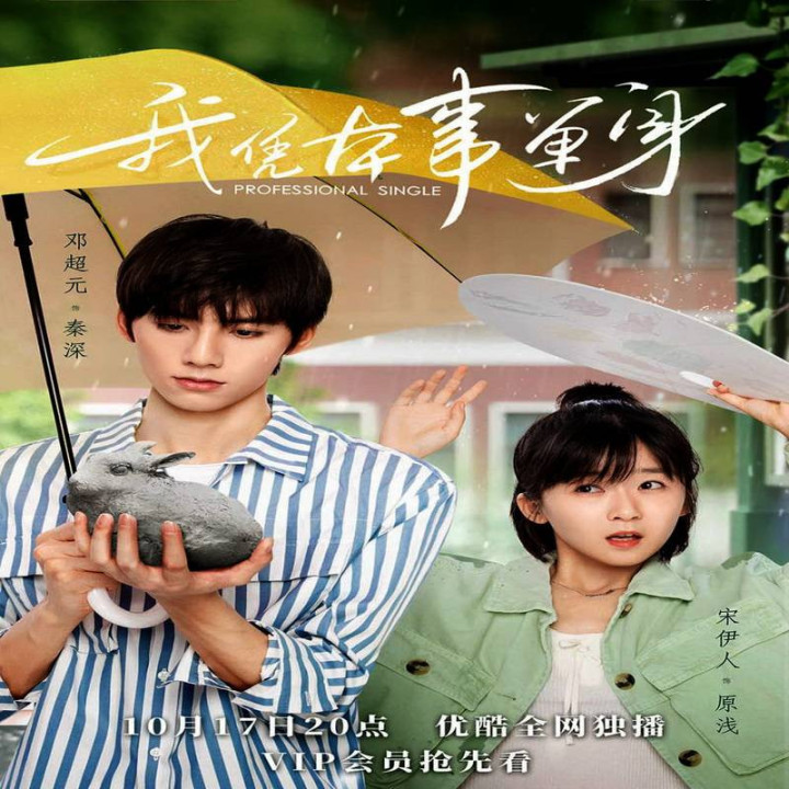 مجرد حرفه ای Professional Single