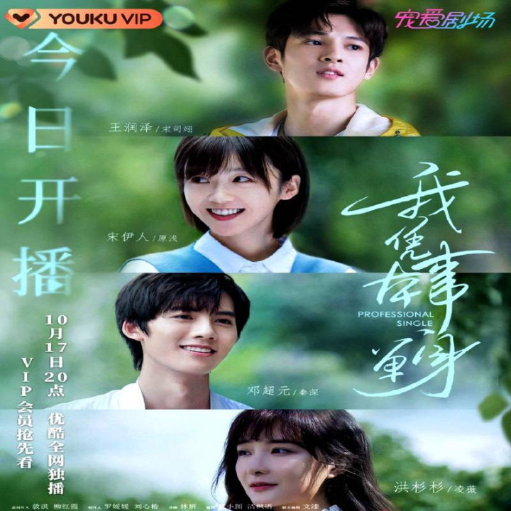 مجرد حرفه ای Professional Single