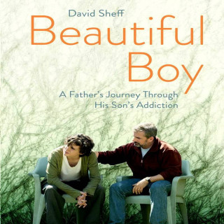 پسر زیبا ، Beautiful Boy