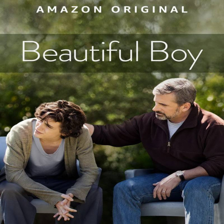 پسر زیبا ، Beautiful Boy