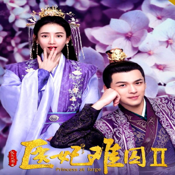 شاهزاده خانم بزرگ 2،  Princess at Large 2