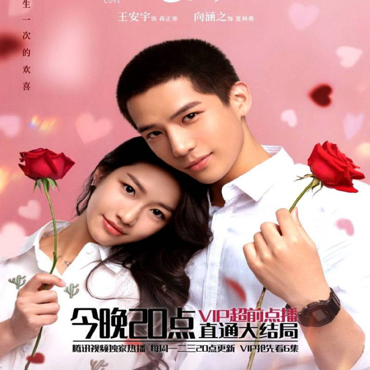 عشق همیشگی ،  Forever Love