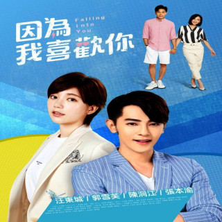 دارم عاشقت میشم Falling Into You