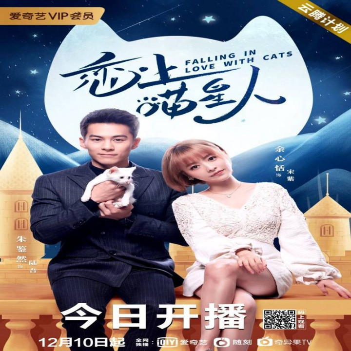 عاشق گربه ها شدم Falling in Love With Cats