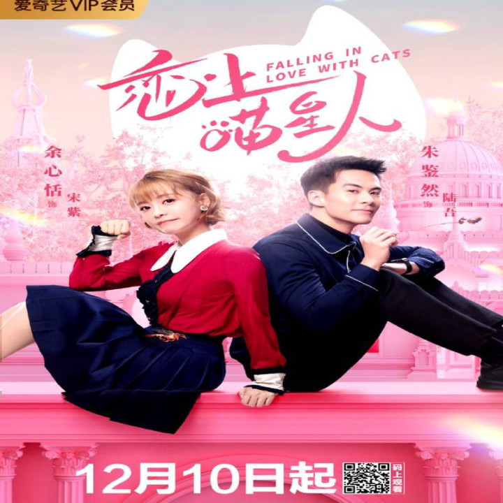 عاشق گربه ها شدم Falling in Love With Cats